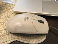 Logitech Mouse.jpg