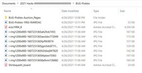 BUG-Pickles-files.JPG