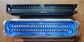 SCSI-terminator-pin-numbering.jpg