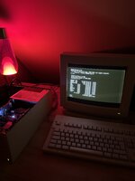 IMG_0810.jpeg