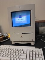 IMG_7452.jpeg