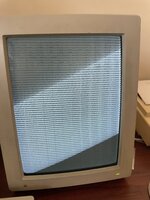 IMG_6719.jpeg