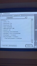 IMG_6747.jpeg