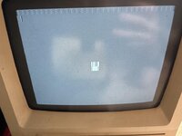 IMG_0198.jpeg IMG_0198.jpeg