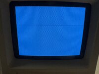 IMG_0213.jpeg