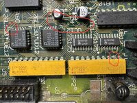 IMG_0214.jpeg