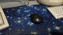 IMG_0266.jpeg