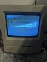 IMG_8944.jpeg