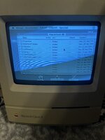 IMG_8945.jpeg