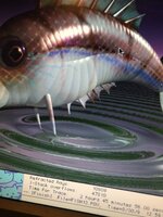 IMG_7419.jpeg